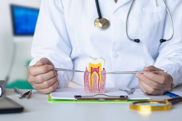 Best Emergency Care for Gum Disease in Humboldt Hill, CA